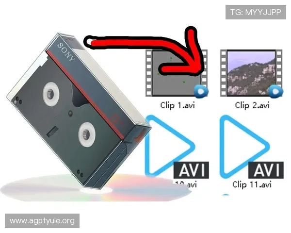 多宝视讯录像常见问题解答解决用户在录像保存和播放过程中遇到的各种疑难问题